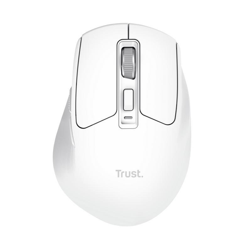 RATON TRUST NIVEN WIRELESS...